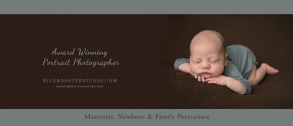 Blue Rooster Photography Studio | 28 Bridlewood Blvd, Limehouse, ON L0P 1H0, Canada | Phone: (289) 325-0589