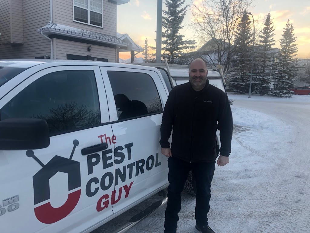 The Pest Control Guy | 42 Morningside Landing SW, Airdrie, AB T4B 0E2, Canada | Phone: (587) 437-6994