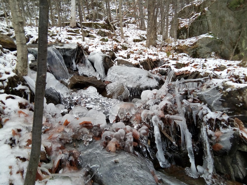 Bureau daccueil touristique de Labelle | 7900 Boulevard du Curé Labelle, Labelle, QC J0T 1H0, Canada | Phone: (819) 681-3371 ext. 5040