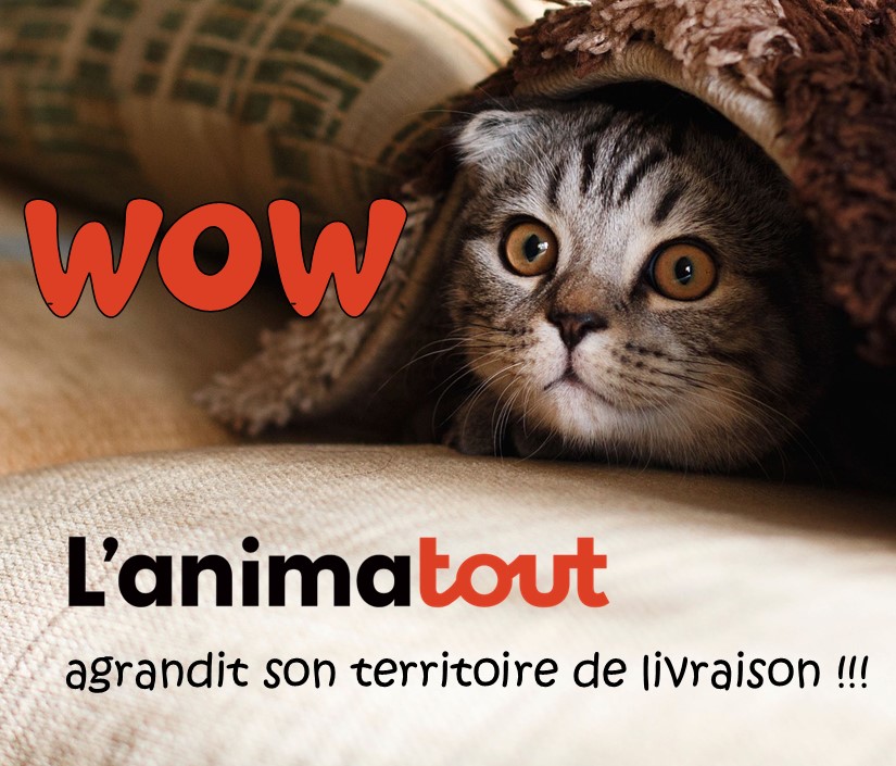 Lanimatout | 4857 Boul Bourque, Sherbrooke, QC J1N 1E8, Canada | Phone: (819) 829-2111