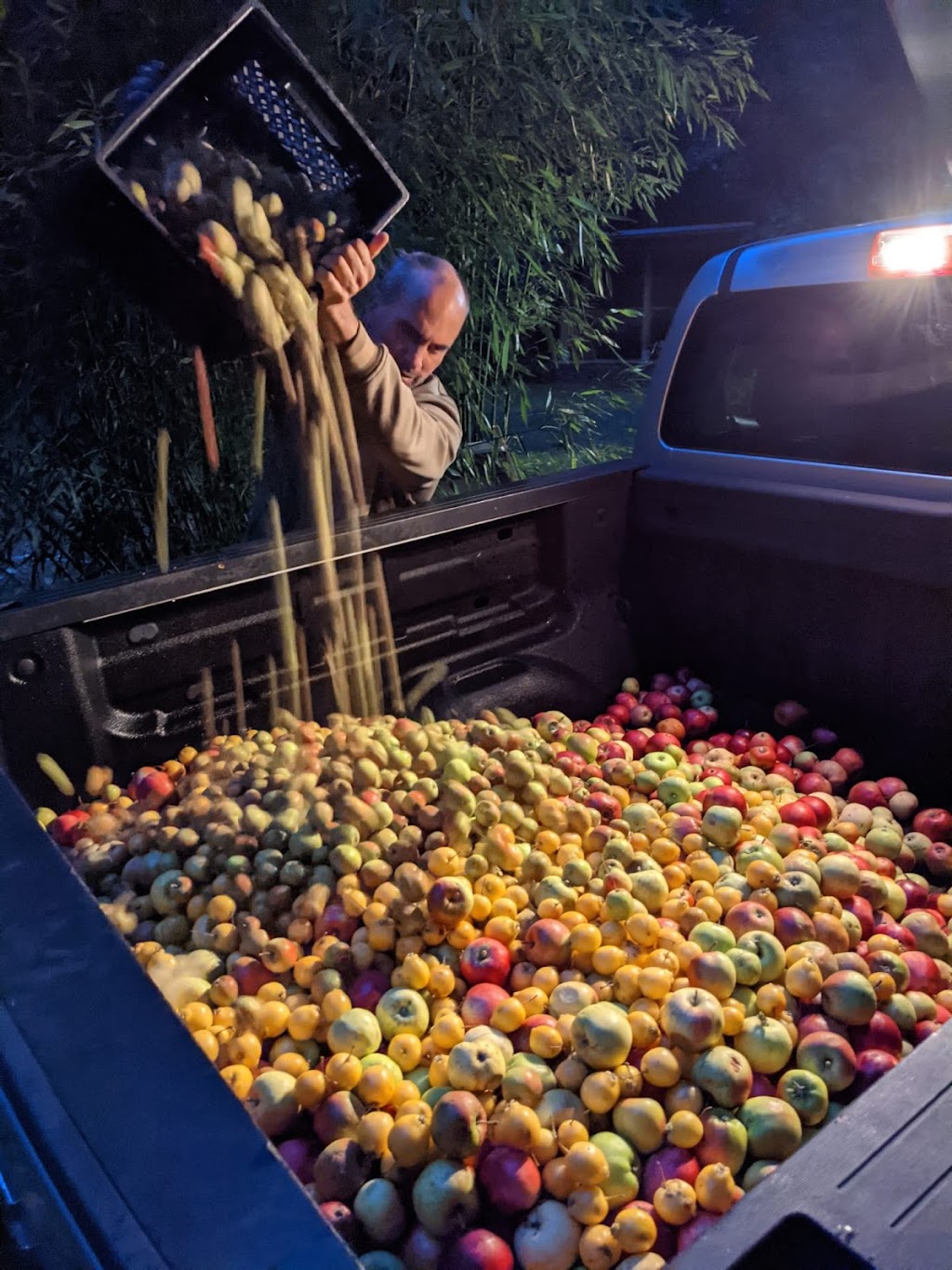 Slowpoke Cider Farm | 5070 Headquarters Rd, Courtenay, BC V9J 1P2, Canada | Phone: (604) 741-7764