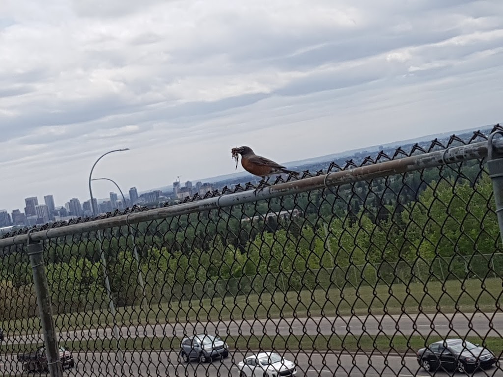 Many Owls Valley Parking Lot | Northwest Calgary, Calgary, AB T2K 1J7, Canada