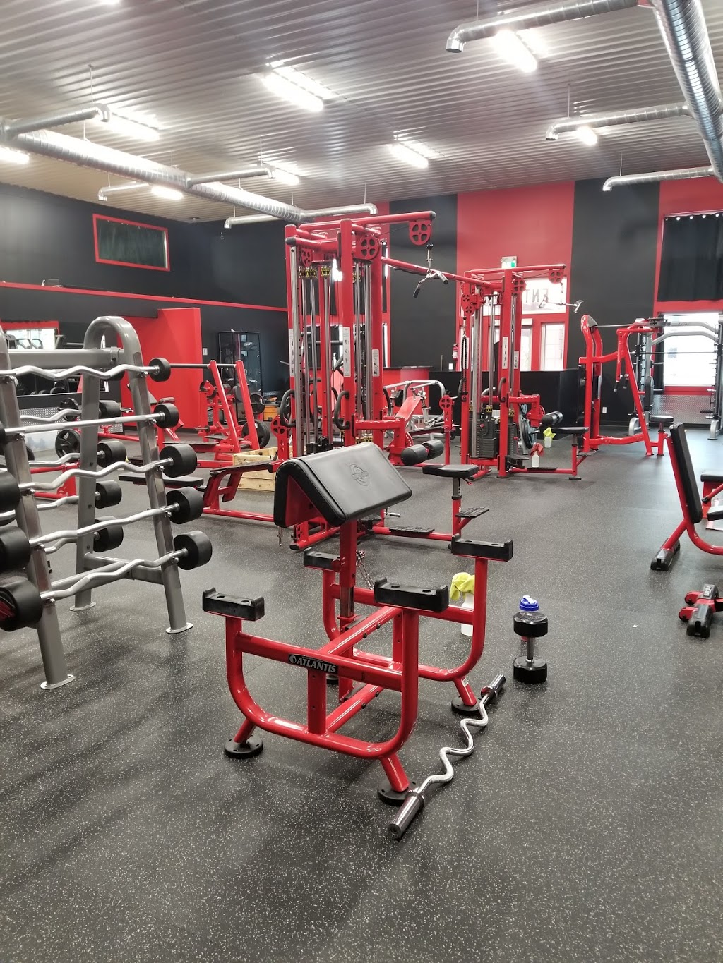 Devloos Gym | 271 Loren Dr, Morden, MB R6M 1P4, Canada | Phone: (204) 825-7368