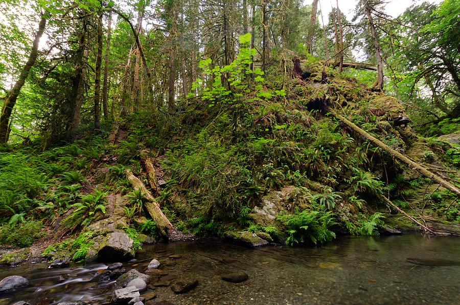 Goldstream Falls, Goldstream Provincial Park | 48°2745. 123°3420., 3"N BC-5, Kamloops, BC V0R, Canada