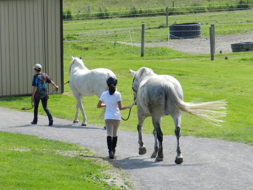 Beaconhurst Stable | 7261 Mercer Rd, Kendal, ON L0A 1E0, Canada | Phone: (905) 938-9572