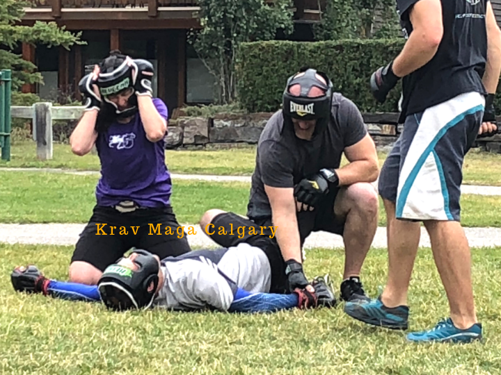 Krav Maga Calgary | 2633 Hochwald Ave SW, Calgary, AB T3E 7K2, Canada | Phone: (403) 493-4886