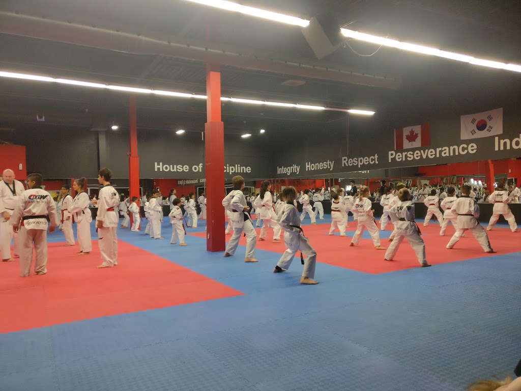 Black Belt World Oakville | 467 Speers Road, Units 5-8, Oakville, ON L6K 3S4, Canada | Phone: (905) 849-5437