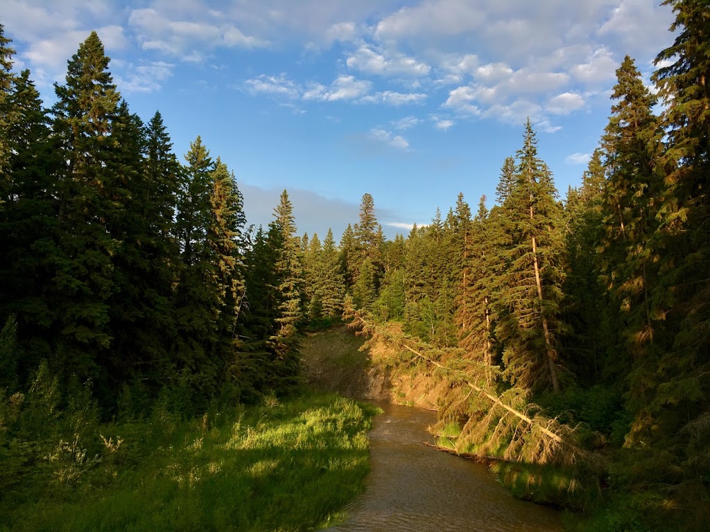 Whitemud Creek Stairs #250 | Unnamed Road, Edmonton, AB T6J 2C8, Canada