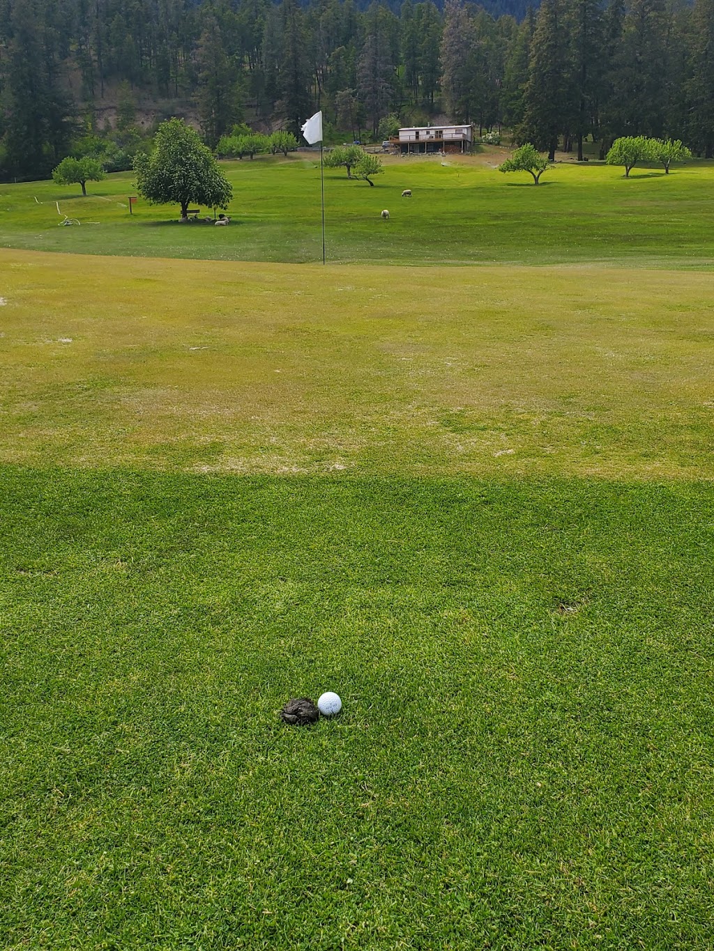 Sheep Pasture Golf Course | 5000 Texas Creek Rd, Lillooet, BC V0K 1V0, Canada | Phone: (250) 256-0550