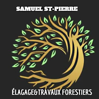 Samuel St-Pierre Élagage & Travaux Forestiers | 11 Rue du Ruisseau, Saint-Aubert, QC G0R 2R0, Canada | Phone: (418) 252-0396