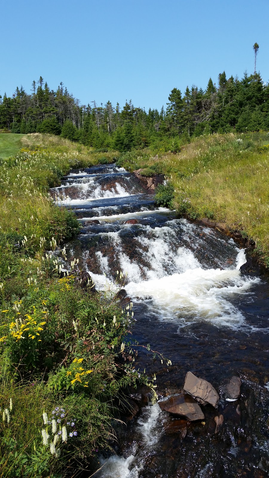 The Wilds Resort at Salmonier River | 299 Salmonier Line, Holyrood, NL A0A 2R0, Canada | Phone: (709) 229-5444