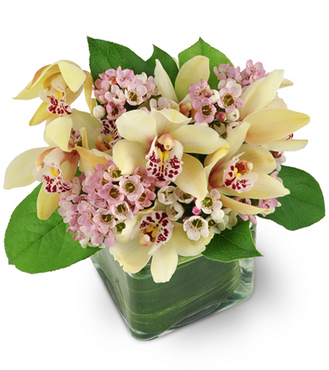 Flowers with Flair | 26 King St W, Forest, ON N0N 1J0, Canada | Phone: (519) 786-5905