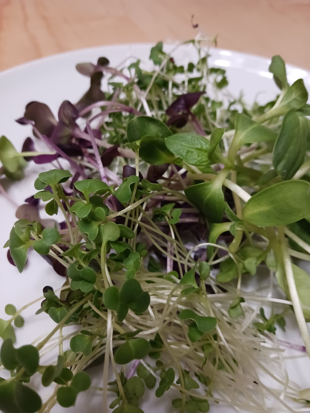 Crow Grown Microgreens | 6715 Hunterview Dr NW, Calgary, AB T2K 5C8, Canada | Phone: (403) 966-7934