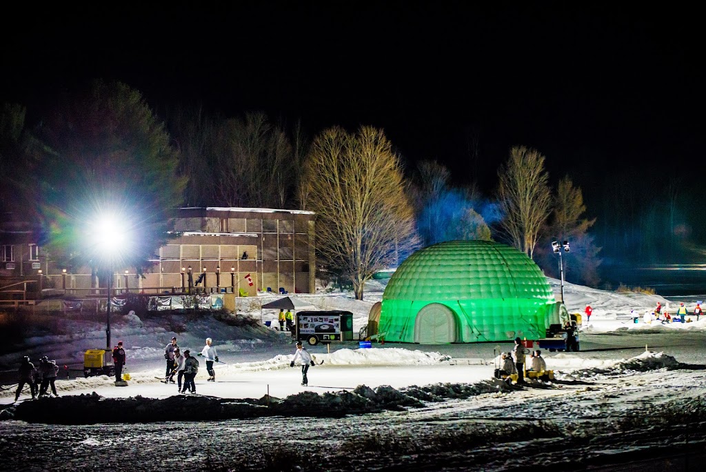 Canadian National Pond Hockey Championships | 4252 Haliburton County Rd 21, Haliburton, ON K0M 1S0, Canada | Phone: (705) 457-7950