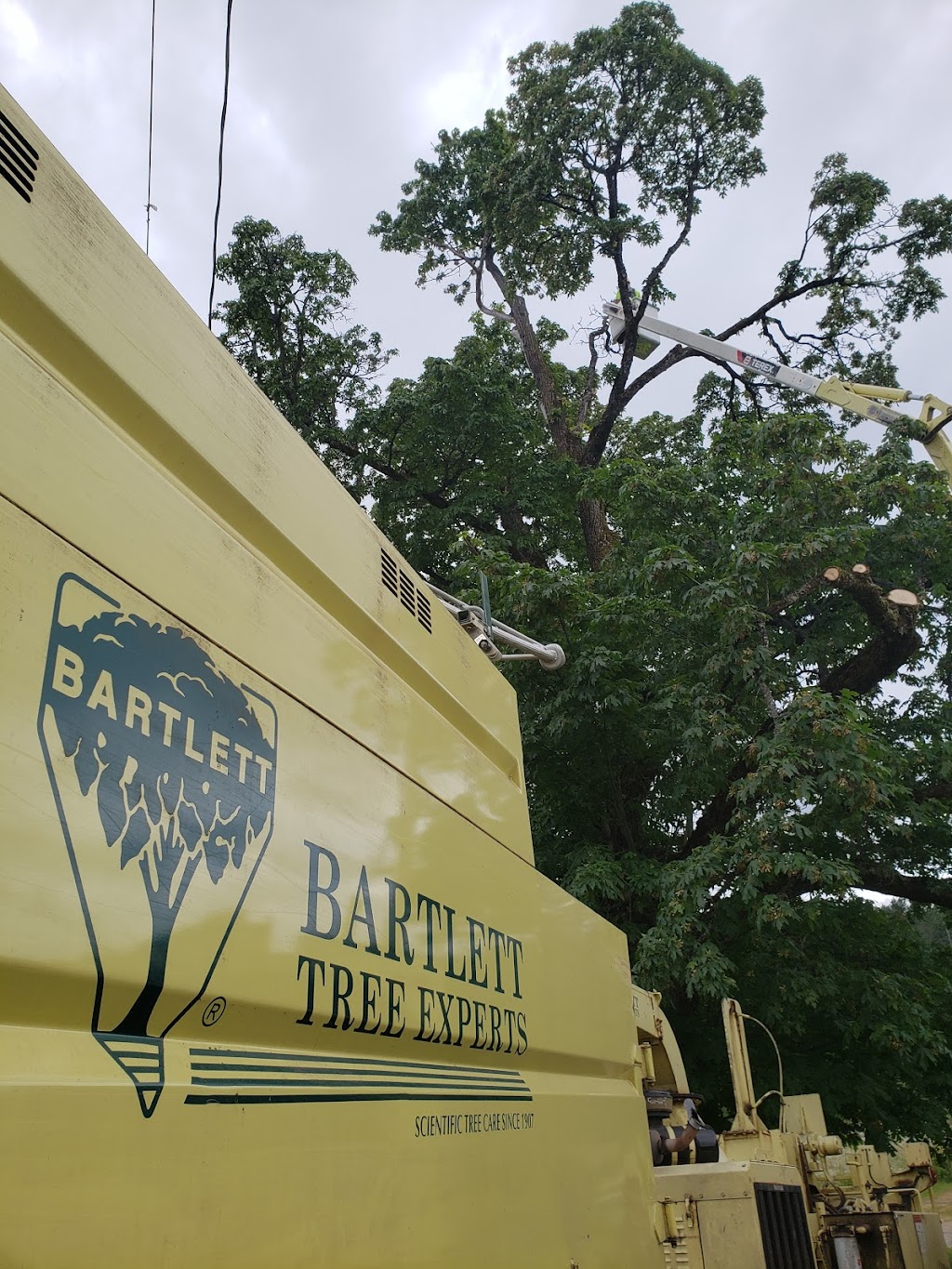 Bartlett Tree Experts | 4370 Interurban Rd, Victoria, BC V9E 2C4, Canada | Phone: (250) 479-3873