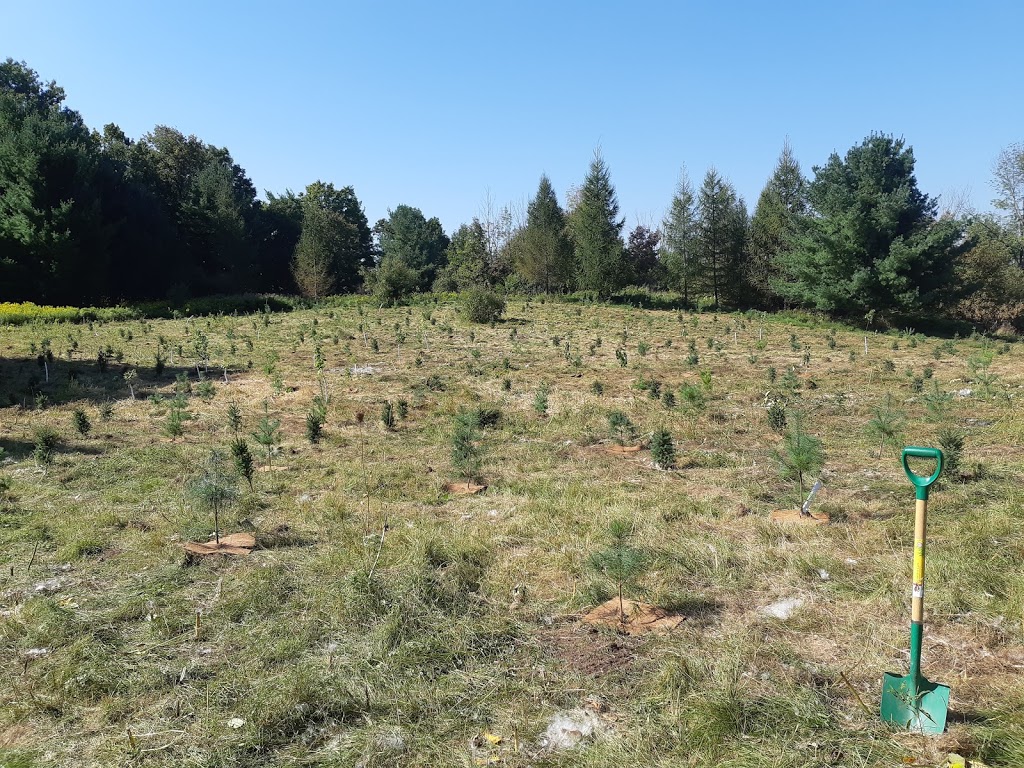 Bee Space @ the Kortright Centre | Woodbridge, Vaughan, ON L4L 1A6, Canada