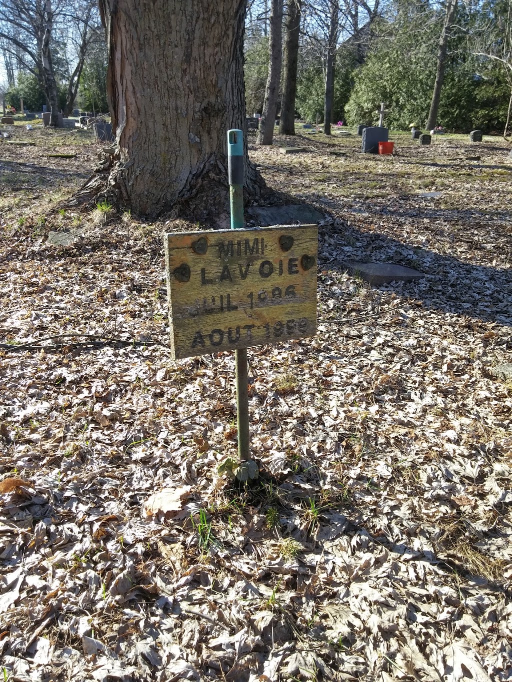 Reposium Pet Cemetery | 1261 Chemin Saint-Louis, Beauharnois, QC J6N 3B8, Canada | Phone: (514) 849-6591