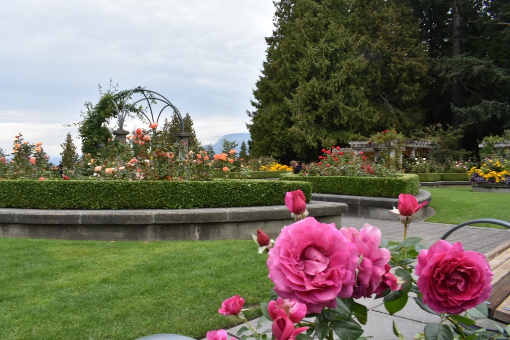 UBC Rose Garden | 6301 Crescent Rd, Vancouver, BC V6T 1Z2, Canada