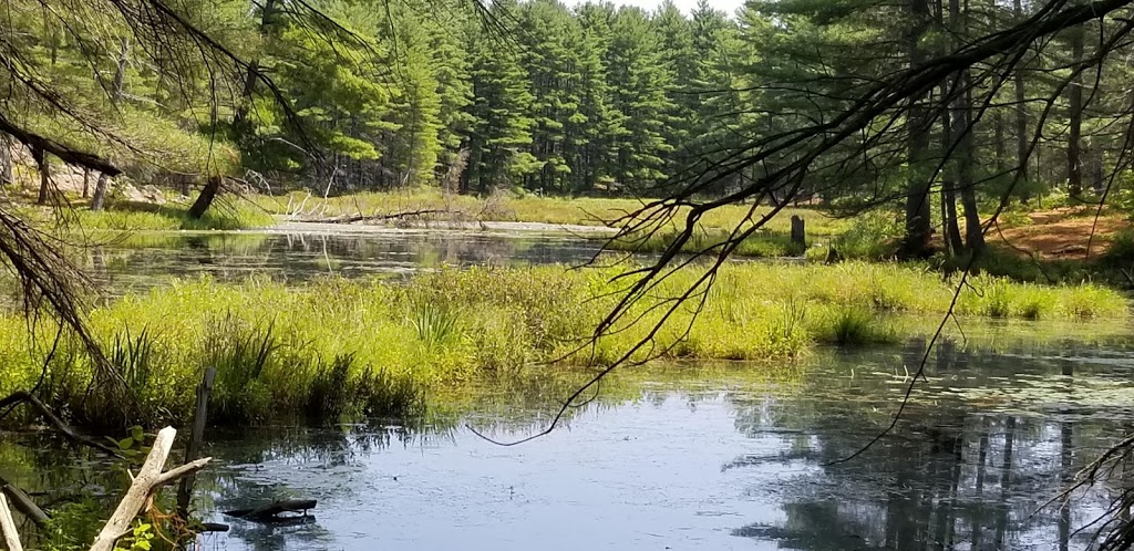 Hardy Lake Trail Head | Muskoka District Road 169, Gravenhurst, ON P1P 1R2, Canada