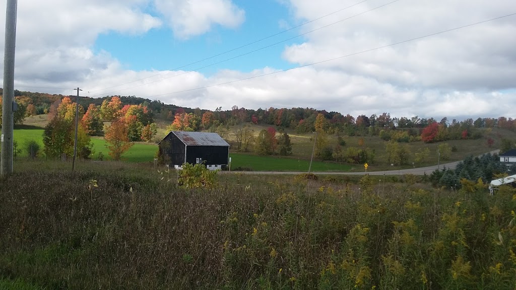 Shady Oaks Landscaping | 394175 Dufferin 12, Laurel, ON L9W 2Y8, Canada | Phone: (519) 942-8030