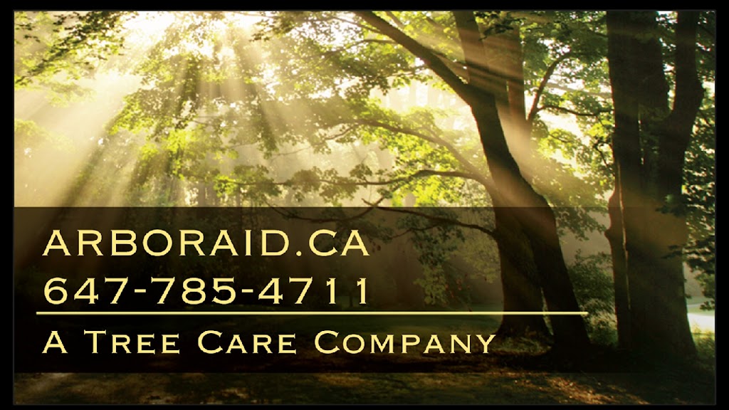 Arbor Aid Ltd | 861 Sloane St, Woodstock, ON N4S 5C3, Canada | Phone: (647) 785-4711