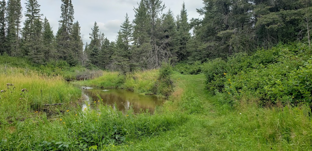 Epinette Creek Trailhead | South Cypress, MB R0K 0H0, Canada | Phone: (204) 827-8850