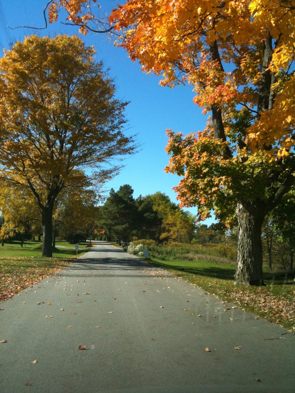 Markham Executive Golf Course - formerly Cresthaven Golf Club | 7892 McCowan Rd, Markham, ON L3P 3J3, Canada | Phone: (905) 477-4653