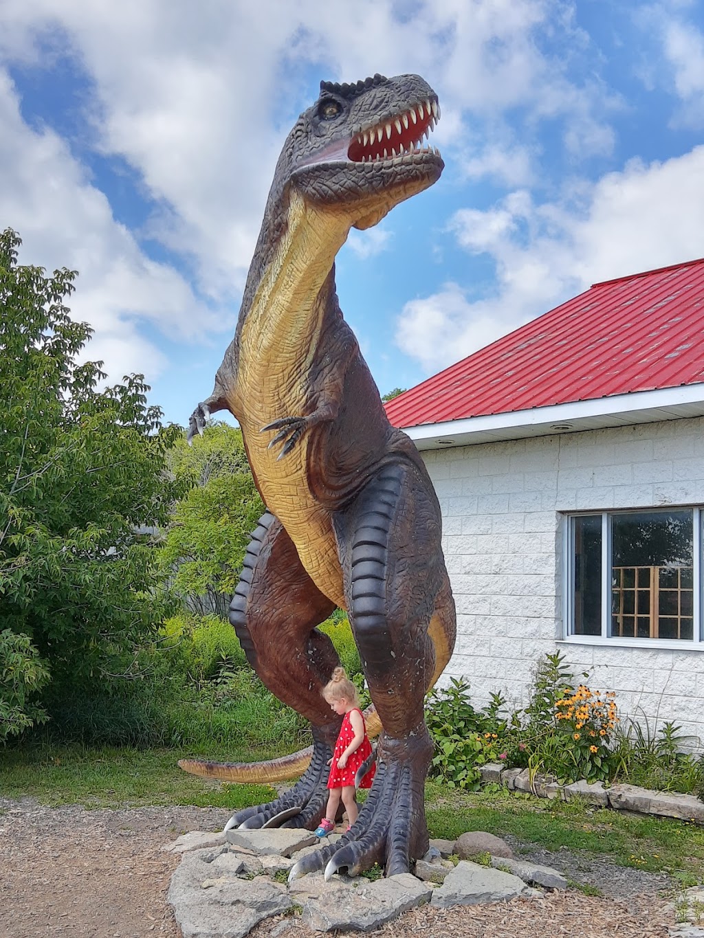 Indian River Reptile & Dinosaur Park | 2206 County Rd 38, Indian River, ON K0L 2B0, Canada | Phone: (705) 639-1443