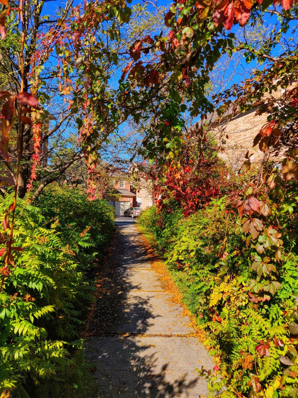 Frederick Bagg Park | Castlemore Ave, Markham, ON L6C 2B3, Canada