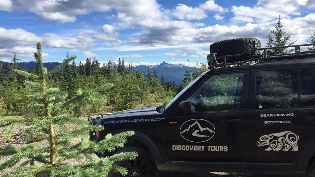 Whistler Discovery Tours | 8080 Nesters Rd, Whistler, BC V0N 1B2, Canada | Phone: (604) 966-7385