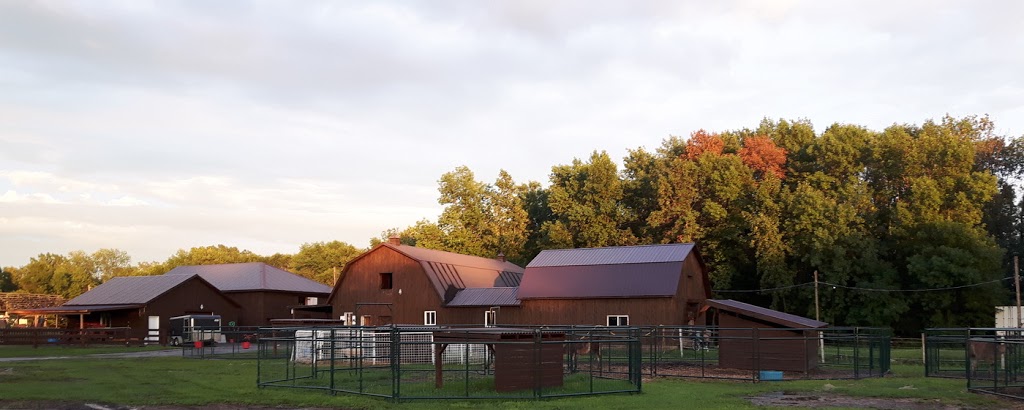 Ferme du Domaine Quinchien | 552 Route de Lotbinière, Vaudreuil-Dorion, QC J7V 0H4, Canada | Phone: (438) 837-9808