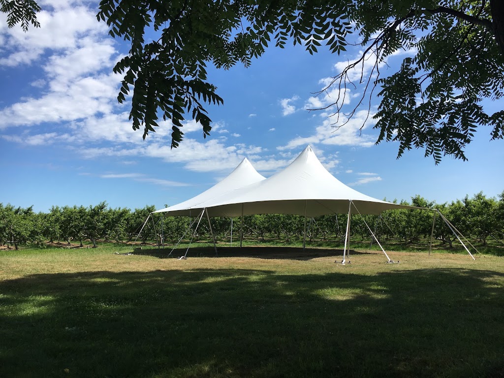 Robson Events and Tents | 7 Youngblut Ave, St. Catharines, ON L2N 1M9, Canada | Phone: (905) 321-4200