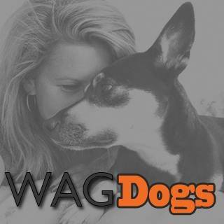 WAGDogs Dog Training and Consulting in Sidney and nearby areas | 10187 Fifth St, Sidney, BC V8L 5E4, Canada | Phone: (403) 708-8224