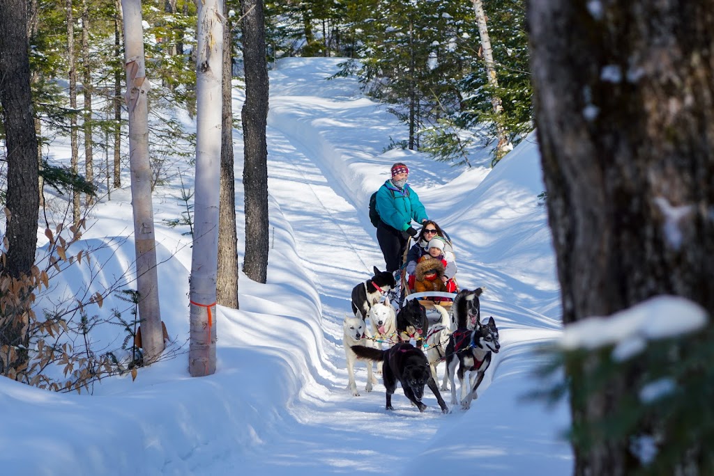 Martin le pêcheur | 265 Av. Canadienne, Sainte-Adèle, QC J8B 2J4, Canada | Phone: (450) 229-7020