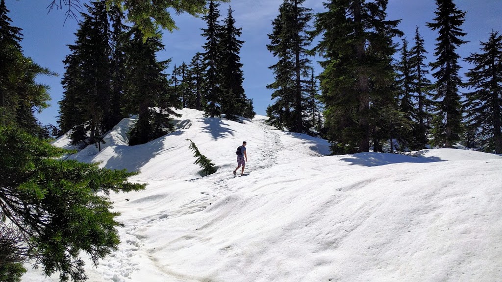 Dog Mountain Trail | 1700 Mt Seymour Rd, North Vancouver, BC V7G 1L3, Canada