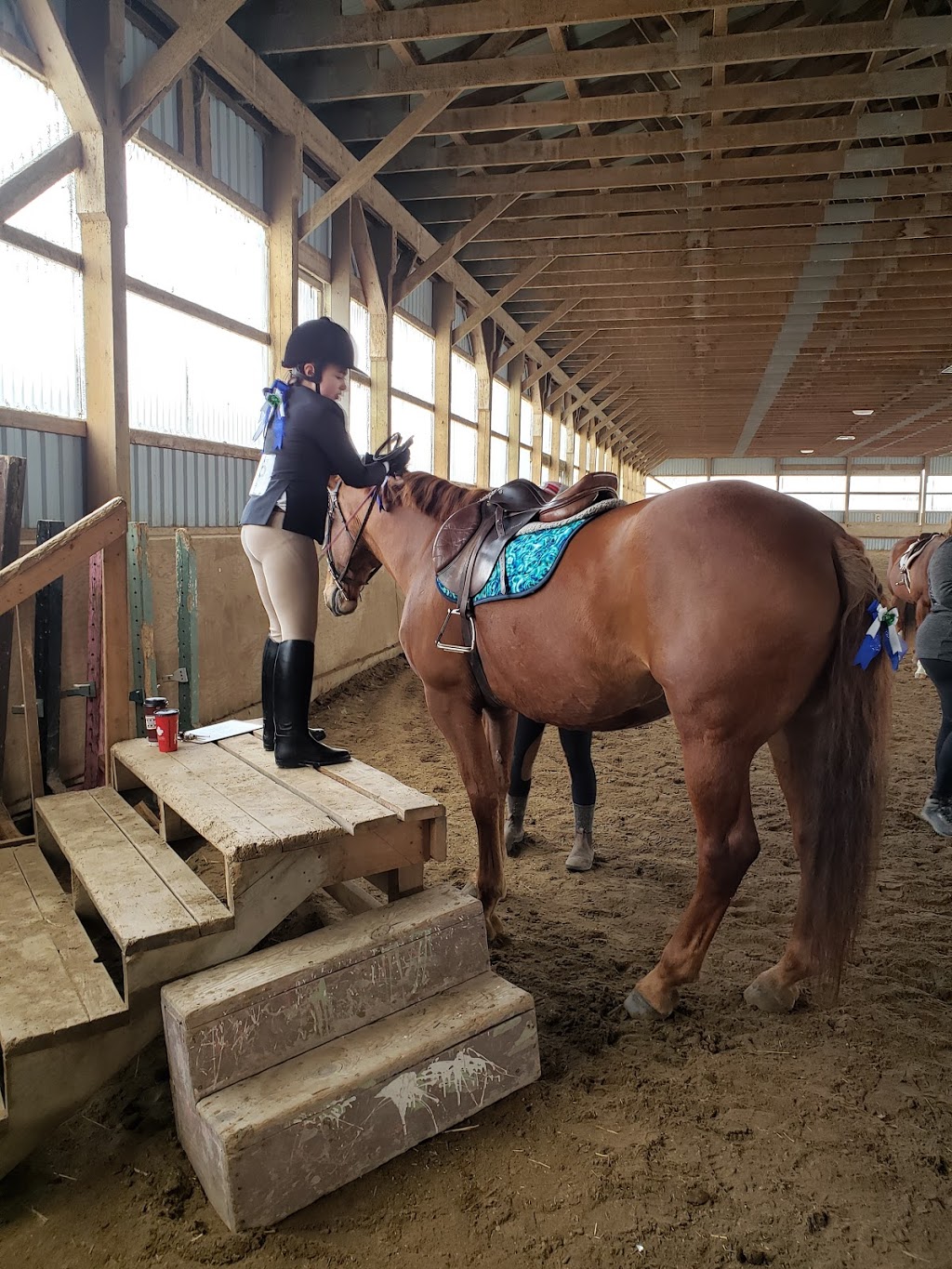 Absolute Equestrian Centre | 2077 Bloor St, Bowmanville, ON L1C 0Z9, Canada | Phone: (905) 626-7026