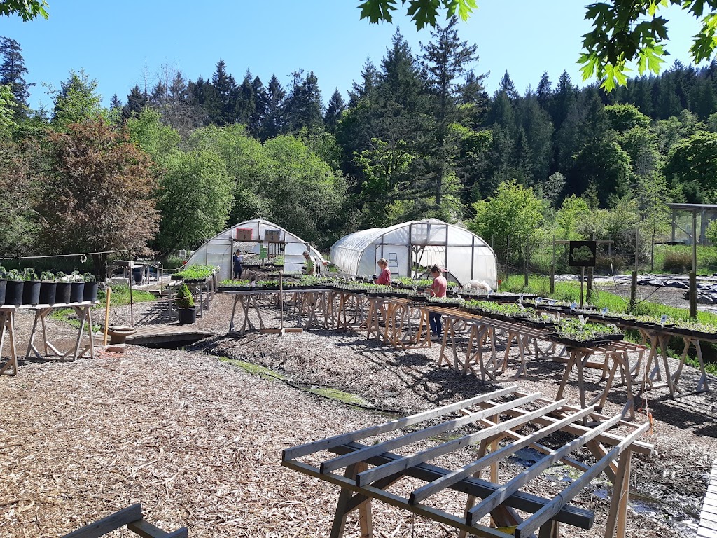 Chorus Frog Farm | 263 Rainbow Rd, Salt Spring Island, BC V8K 2M3, Canada | Phone: (250) 538-2216