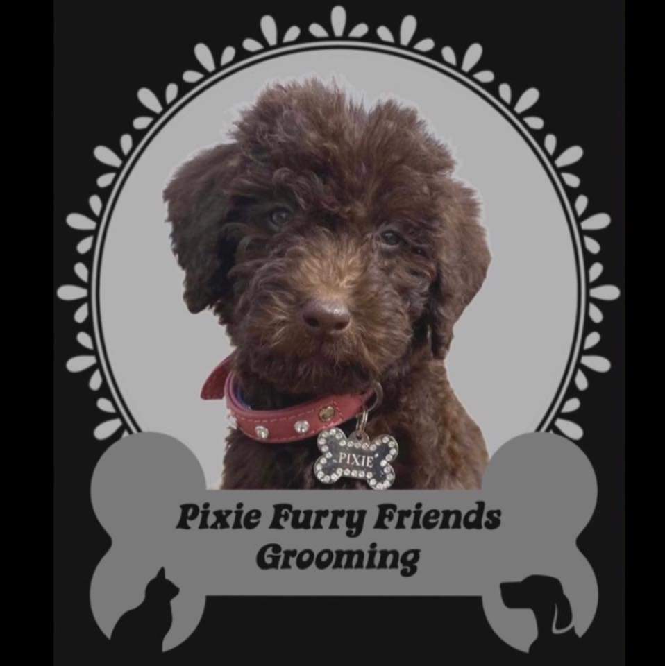 Pixie Furry Friends Grooming | 36 Rue Denis, Cap-Pelé, NB E4N 1P9, Canada | Phone: (506) 312-0657