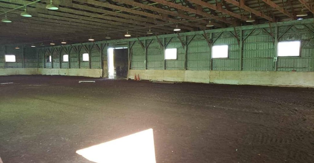 Raven Equestrian | 3816 Mountain Rd, Beamsville, ON L0R 1B2, Canada | Phone: (289) 441-6723