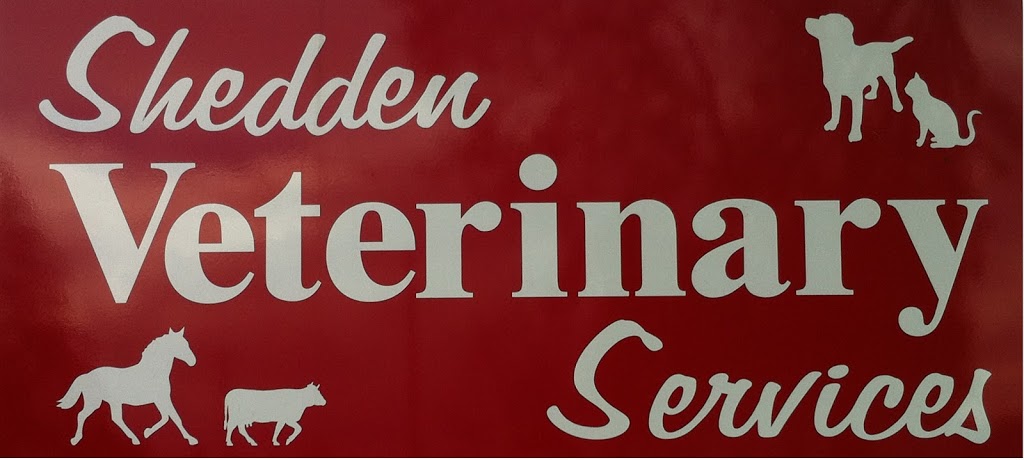 Shedden Veterinary Services | 35771 Talbot Line, Shedden, ON N0L 2E0, Canada | Phone: (519) 764-2330