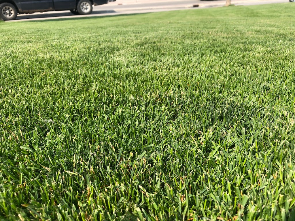 AAA Lawncare | 572 Island Shore Blvd, Winnipeg, MB R3X 2E3, Canada | Phone: (204) 782-5425