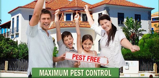 Maximum Pest Control Services. | 96 Kenilworth Ave N, Hamilton, ON L8H 4R5, Canada | Phone: (289) 396-5426