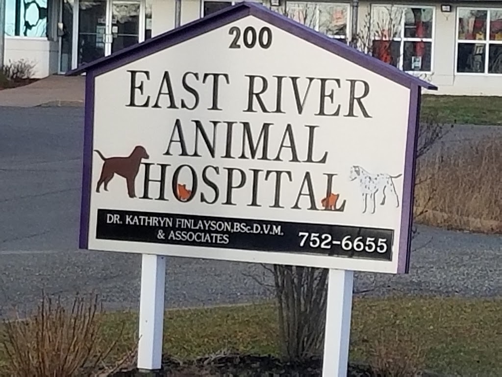 East River Animal Hospital | 200 Terra Cotta Dr, New Glasgow, NS B2H 5W5, Canada | Phone: (902) 752-6655