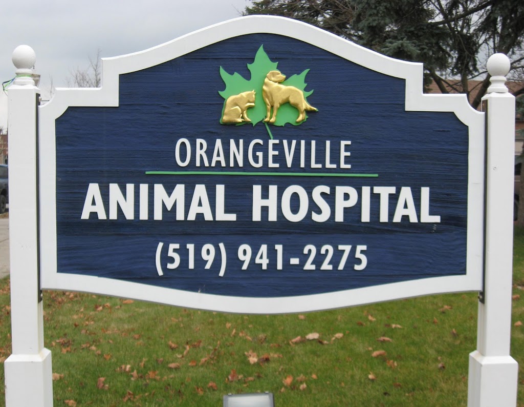 Orangeville Animal Hospital | 236 Broadway, Orangeville, ON L9W 1K5, Canada | Phone: (519) 941-2275