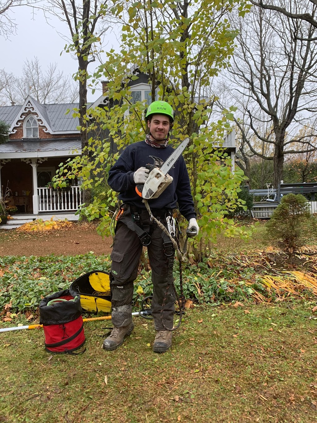 Southern Tree Service | 828254 Mulmur Nottawasaga Townline, Mulmur, ON L9V 0Y7, Canada | Phone: (705) 443-7789