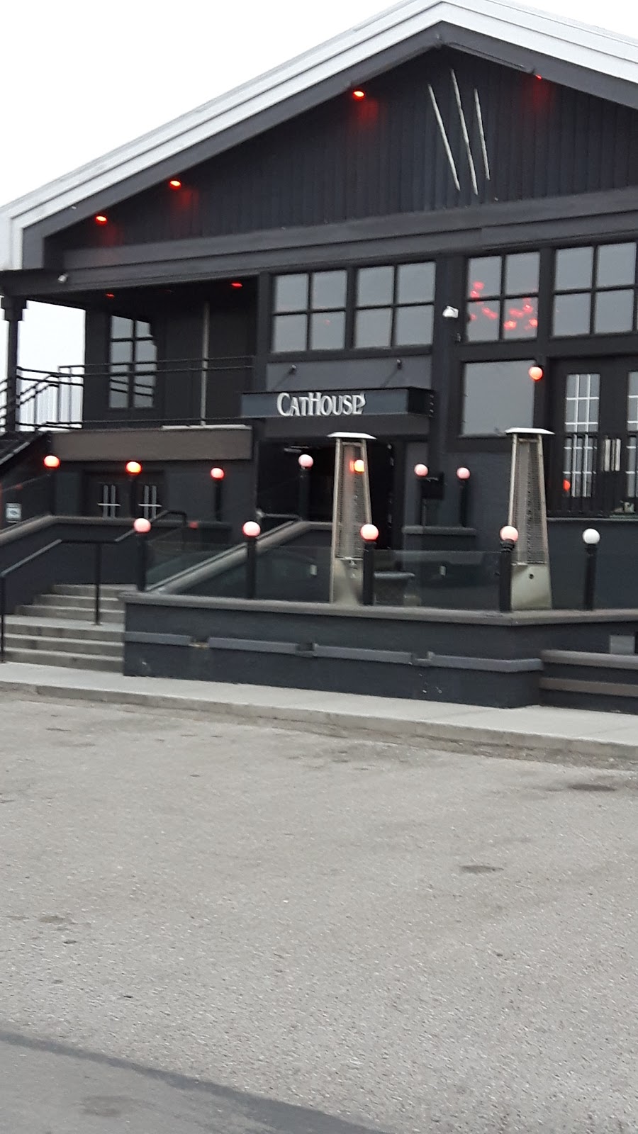 Cathouse | 3064 32 St NE, Calgary, AB T1Y 6J7, Canada | Phone: (403) 301-4445