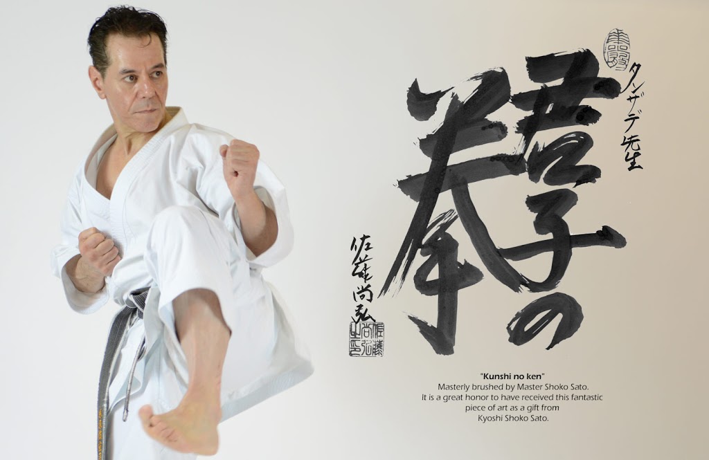 Shitoryu Karate (Tanzadeh Karate Dojo) | 57 Glen Cameron Rd, Thornhill, ON L3T 1P3, Canada | Phone: (416) 402-7119