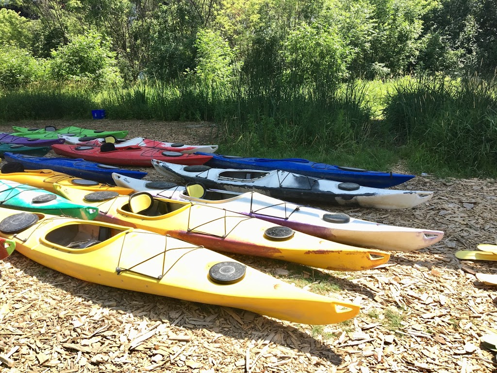 Toronto Adventures: Humber River Paddling Centre | 9 Old Mill Rd, Etobicoke, ON M8X 0A5, Canada | Phone: (416) 536-2067