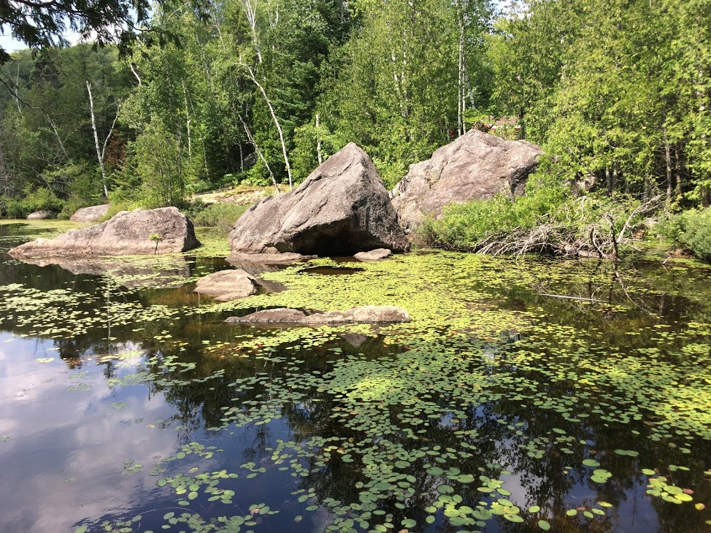 Biology station of Laurentides | 592 Chemin du Lac Croche, Saint-Hippolyte, QC J8A 3K9, Canada | Phone: (450) 563-3111