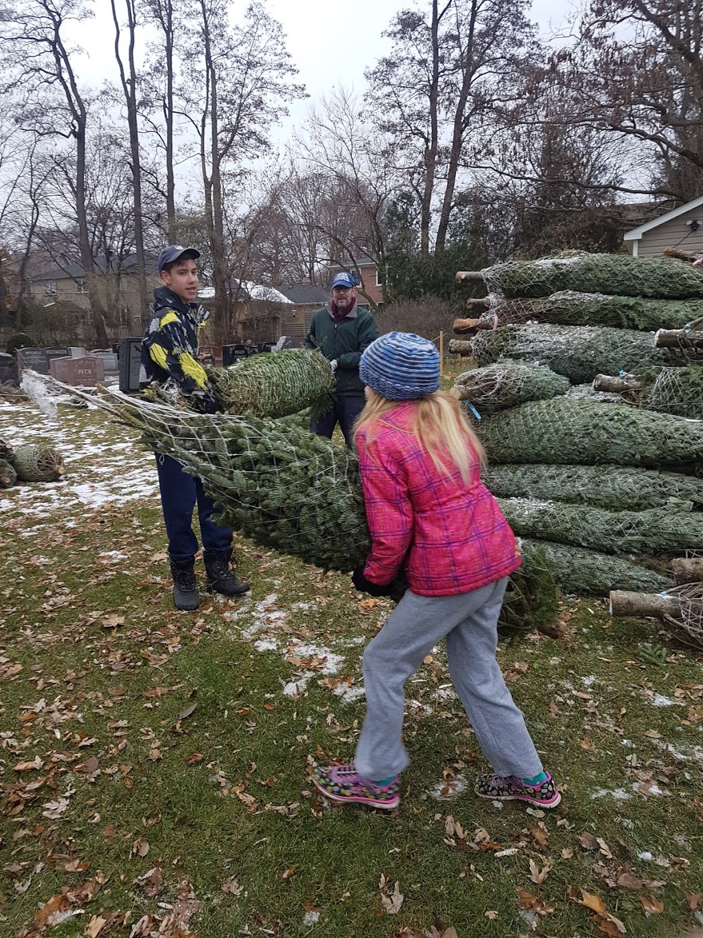 Tree Lot at St. Georges on the Hill | 4600 Dundas St W, Etobicoke, ON M9A 1A5, Canada | Phone: (416) 716-5509